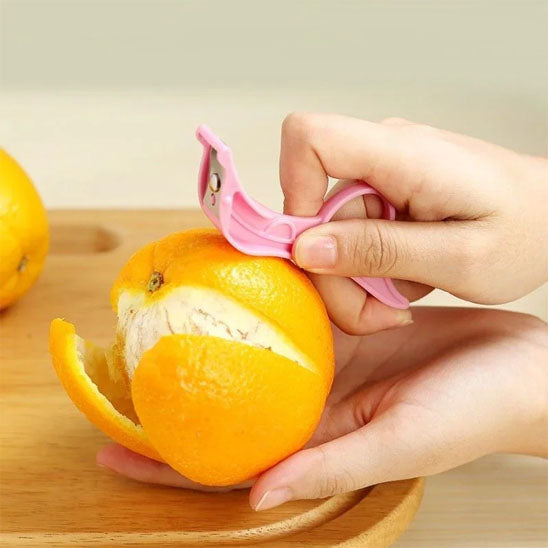 econome cuisine design rose
