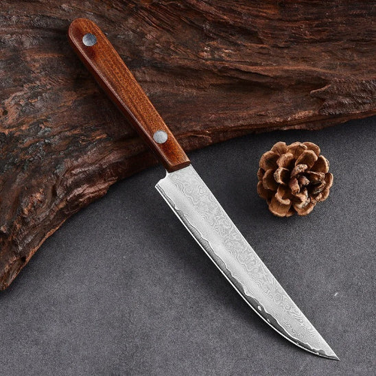 Couteau de cuisine japonais shin'steak