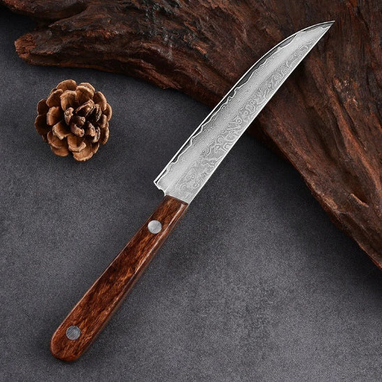 Couteau de cuisine japonais shin'steak posé