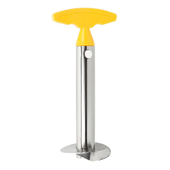 econome cuisine decoupe ananas jaune