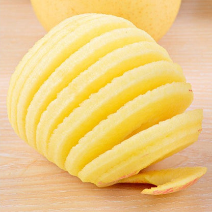 éplucheur à pomme tranche pomme