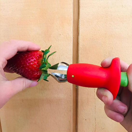 eplucheur fraise rouge vert